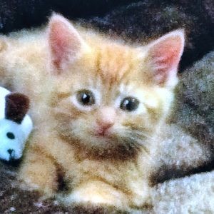 Meet your Posher, Catherine